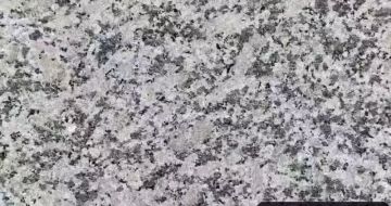 广东 芙蓉白（芝麻白大花）火烧面