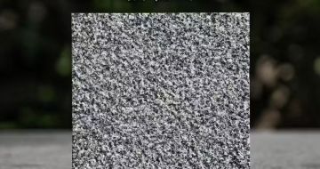 广东 芝麻黑荔枝面