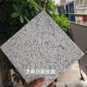 广东 芝麻白荔枝面干挂