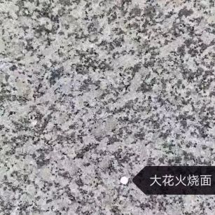 广东 芙蓉白（芝麻白大花）火烧面