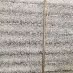 广东 芝麻白成品厚薄均匀