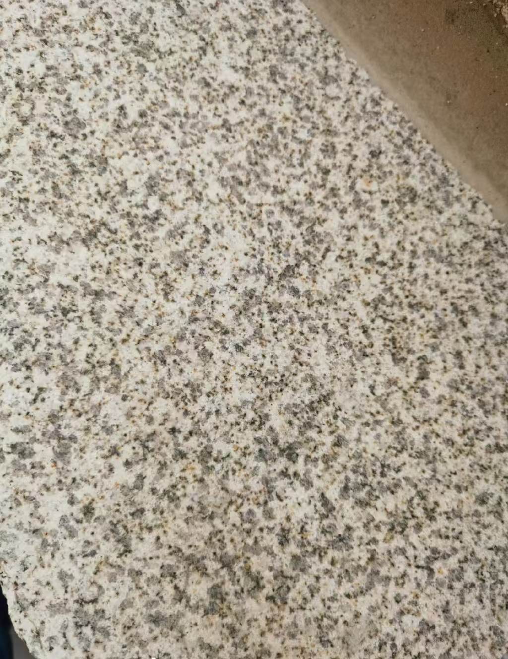 广东 黄金麻中黄光面