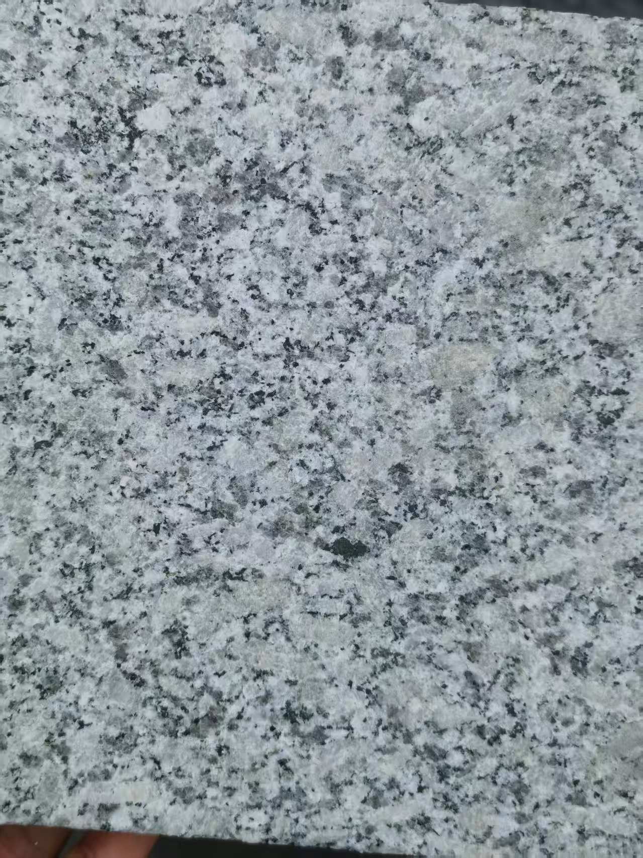 广东 芙蓉白火烧面