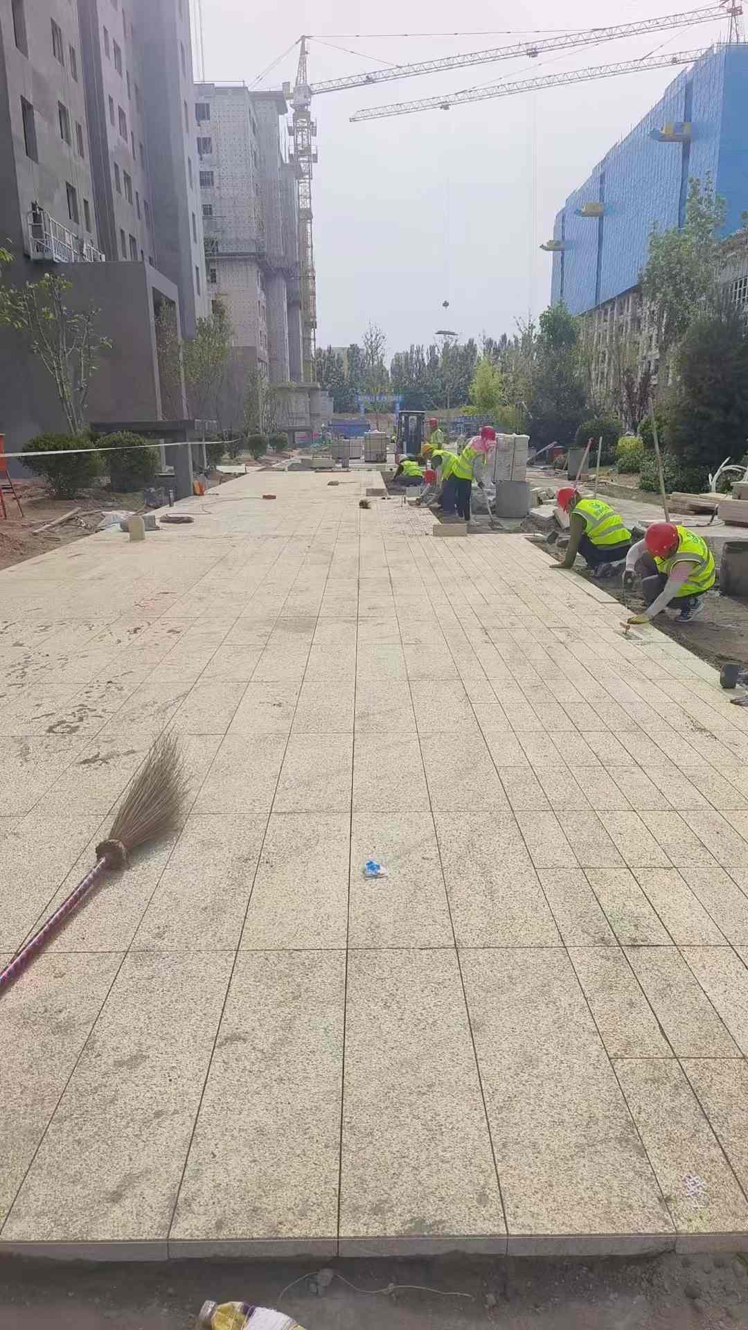 广东黄金麻荔枝面地铺案例