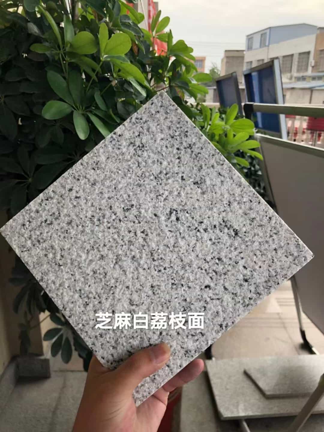 广东 芝麻白荔枝面干挂